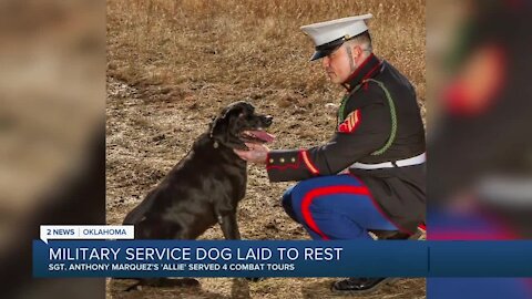 Military service dog laid to rest in Owasso