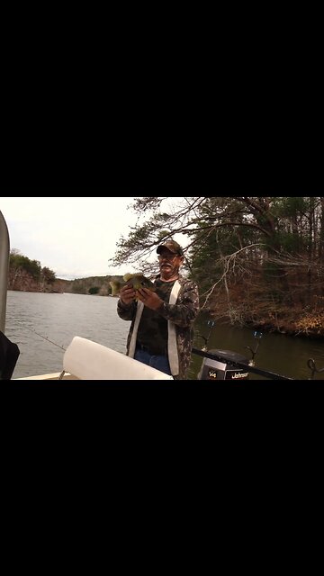 Giant Lake Hickory ShellCrakers