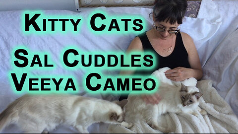 Sal Getting Some Love, Veeya Joining In: Sal Cuddles, Veeya Cameo [Short Kitty Cat ASMR]