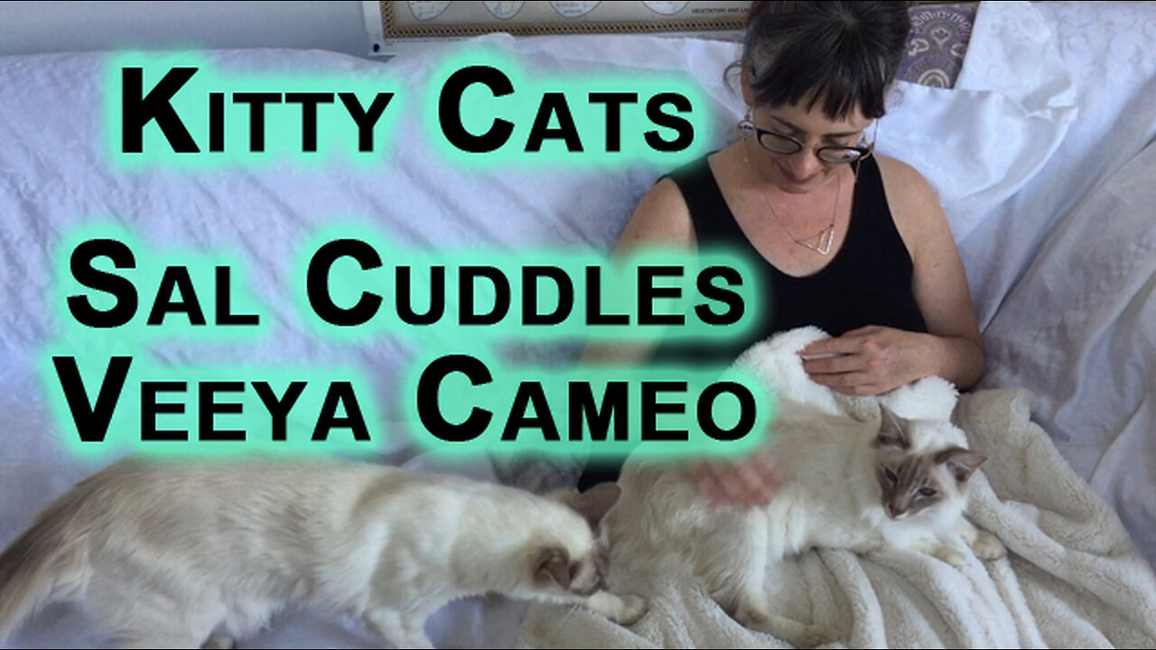 Sal Getting Some Love, Veeya Joining In: Sal Cuddles, Veeya Cameo [Short Kitty Cat ASMR]
