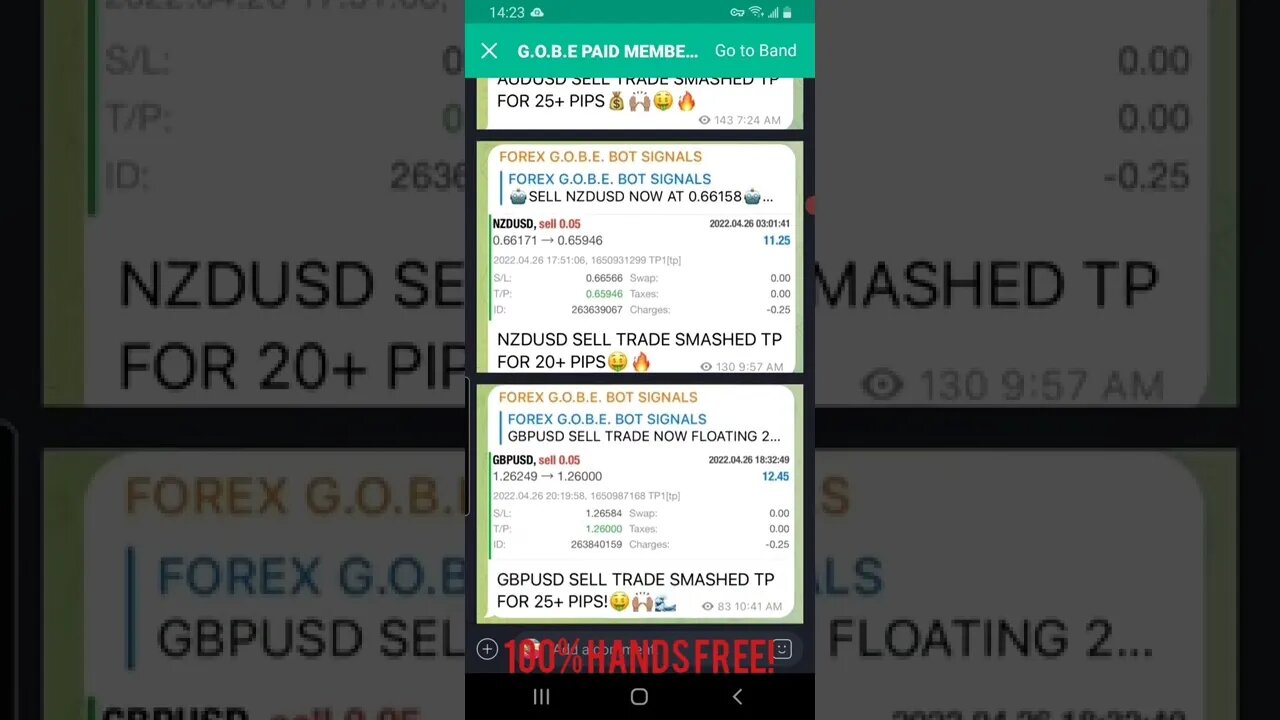 Gobe Forex Copycat-Make Money while You Sleep 💤 😴