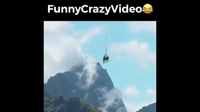 Mr FunnyCrazyVideo😂 Just Incredible Video Funny and Crazy #Like Follow for Follow 🥰