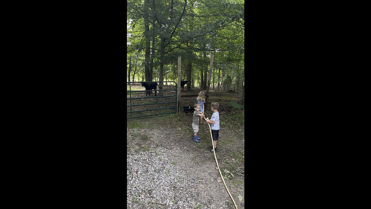 Trying To Fill Up The Water Trough 🐂 CHAMBERLIN Family Farms #chores #kids #summerfun #farmlife