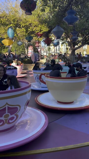 Disney California Tea Cups