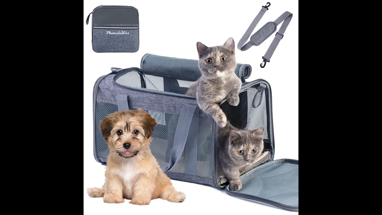 BurgeonNest Cat Carrier for Large Cats 20 lbs,Medium Cats Under 25 lbs,2 Cats and Small Dogs wi...