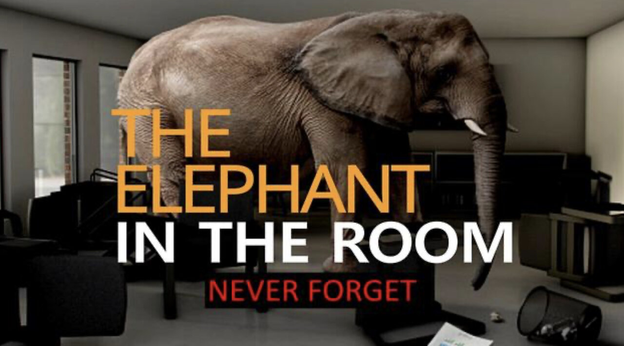 THE ELEPHANT IN THE ROOM - NEVER FORGET