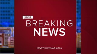 2 Browns players had their vehicles stolen over weekend