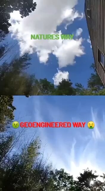 Natural Clouds vs Chemtrails