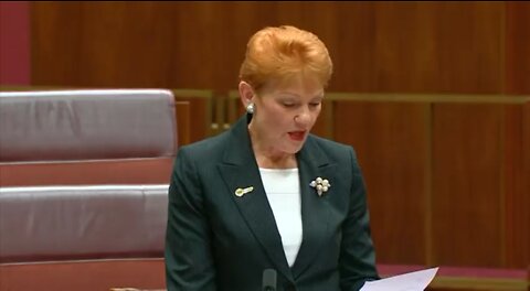 Pauline Hanson questions parliament about net zero.