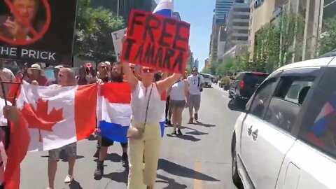 Canadians hold Netherlands flags to show solidarity with the #DutchFarmers in Toronto
