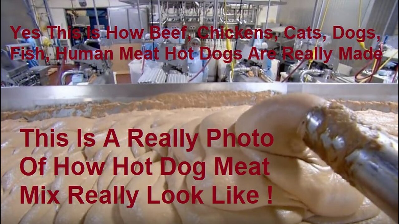 This Is How Beef, Chickens, Cats, Dogs, Fish, Human Meat Hot Dogs Are Really Made