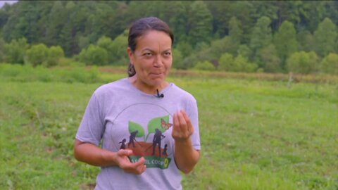 IN DEPTH: Hispanic farmers in WI