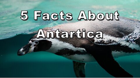 5 Fascinating Facts About Antarctica 🧊❄️