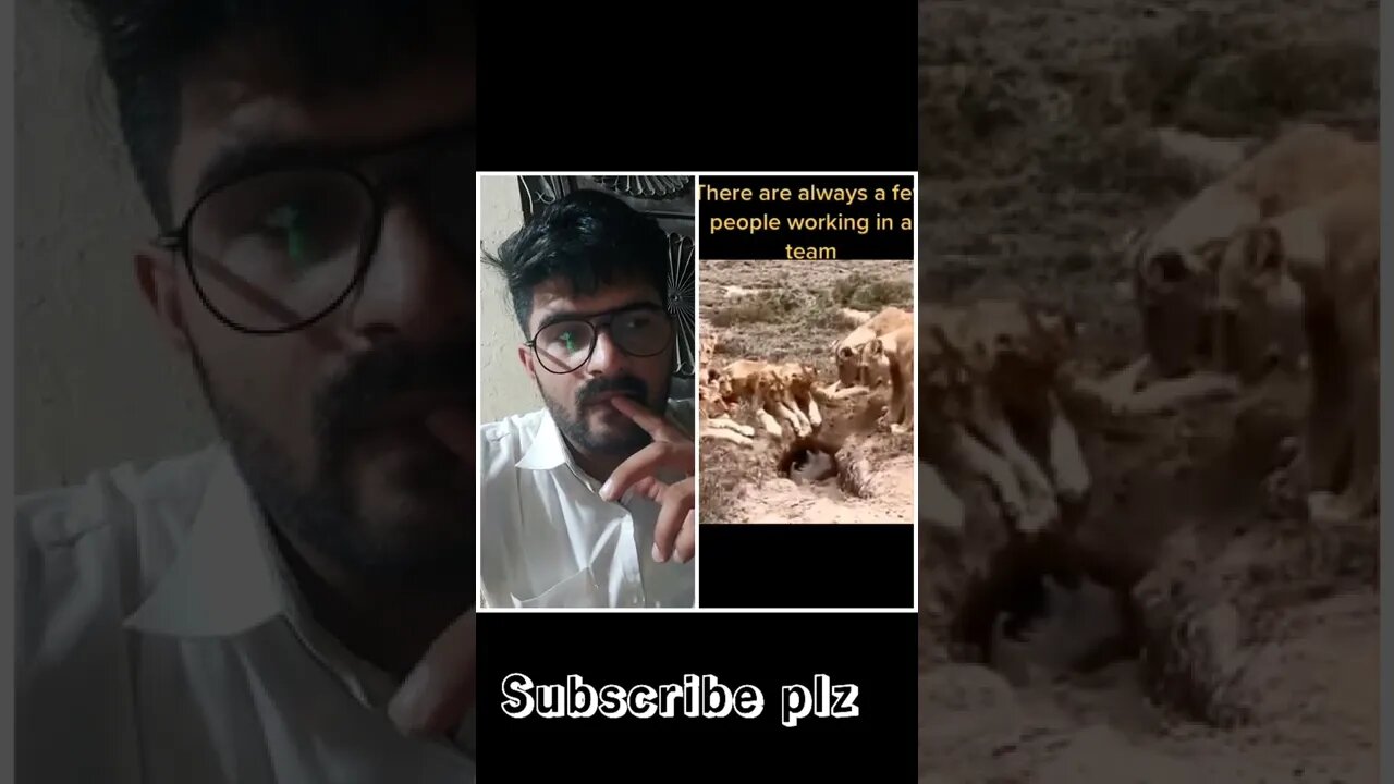 lion team work #shorts #youtubeshorts