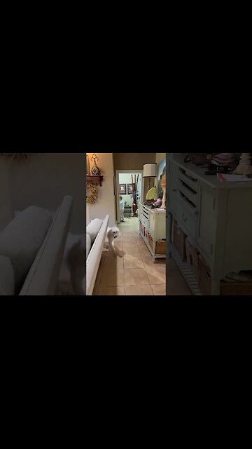 Scaring my Nephew 😂