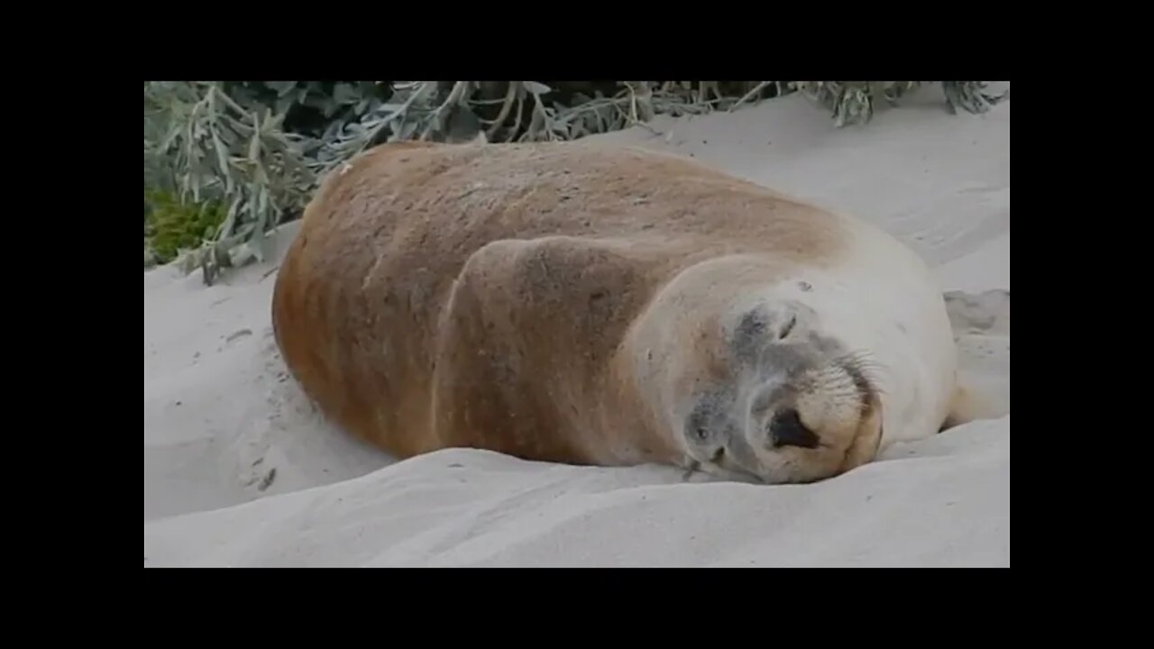 How do YOU hit the beach when you give zero f%&ks? This is me...