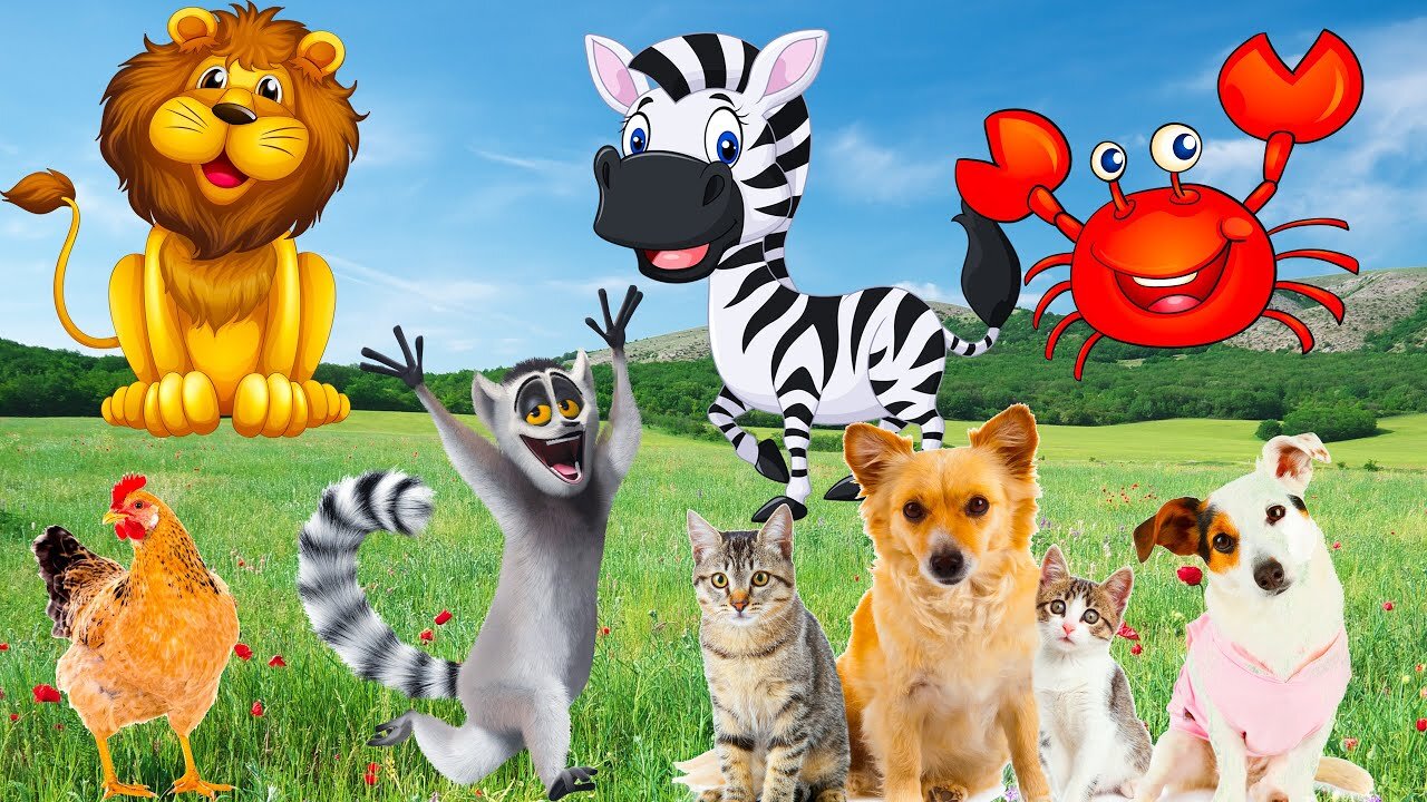 Cute animals dog, cat, horse, lion and baby cute animals