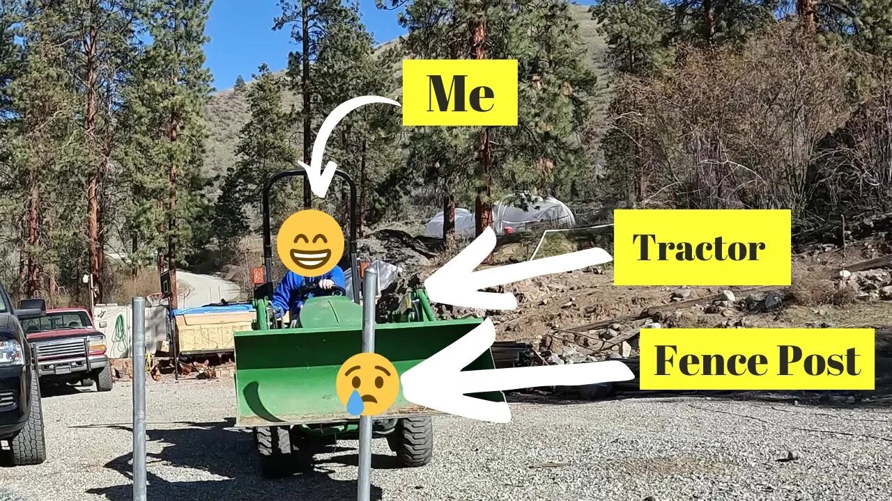 Why are we doing this to our Dog area?