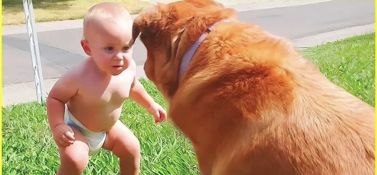 Funny dog plying a cute baby Plzz guys follow me for more videos