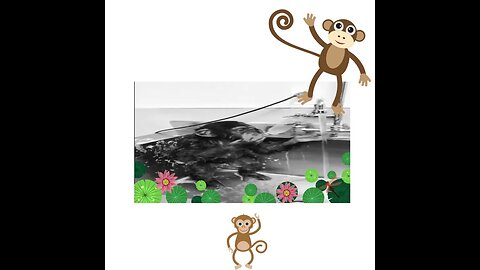 MONKEY BABY TAKE SHOWER | SHORTS VIDEO