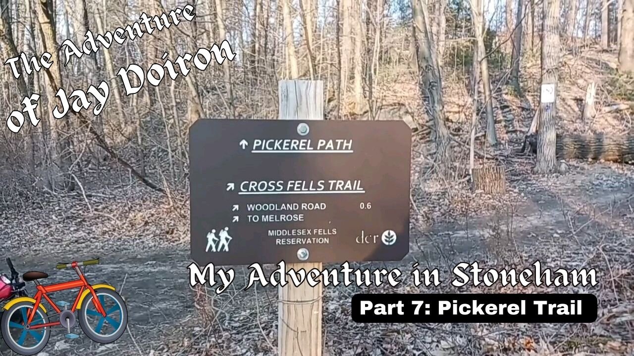 My Adventure in Stoneham (part 7): Pickerel Trail