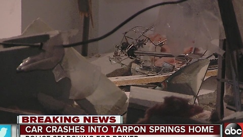 Car crashes into Tarpon Springs home