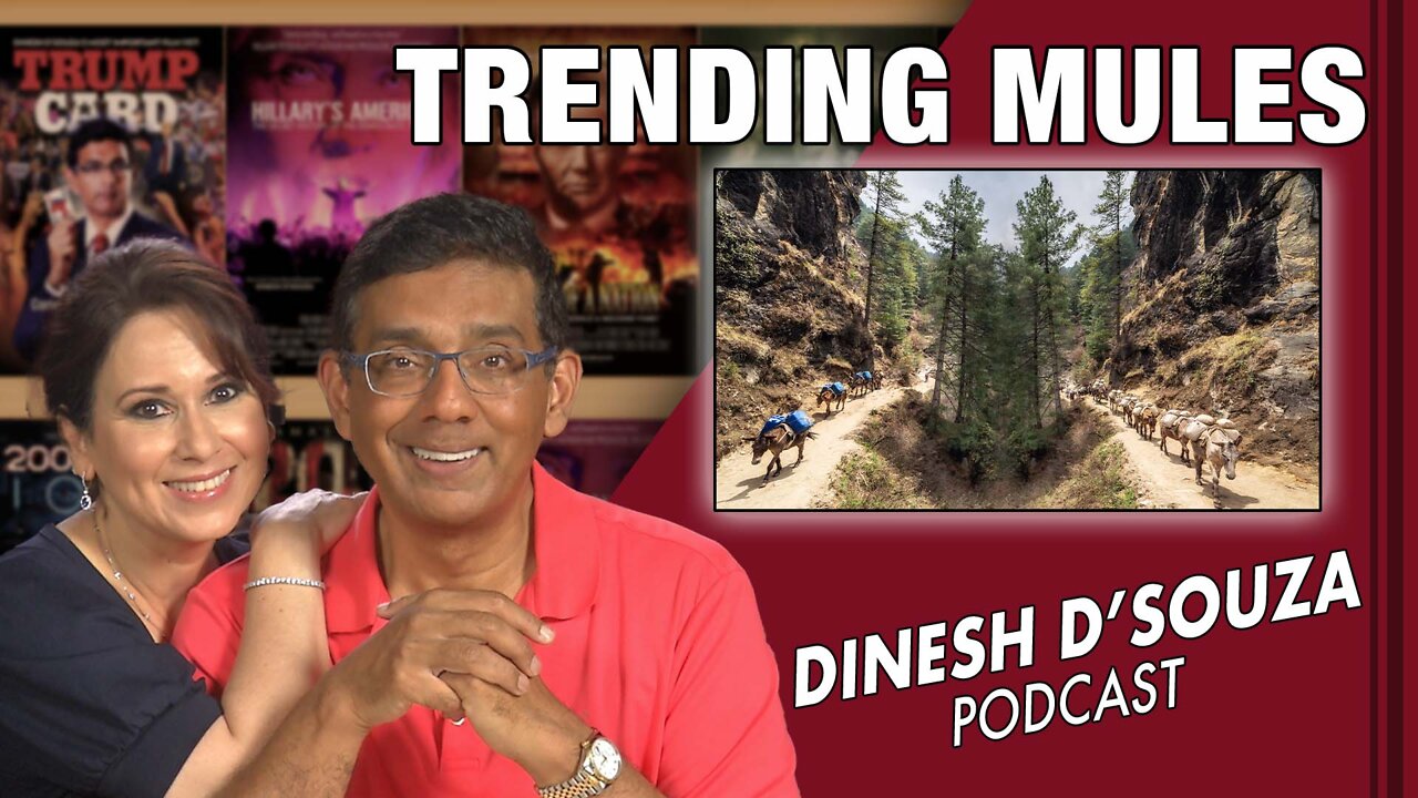 TRENDING MULES Dinesh D’Souza Podcast Ep326