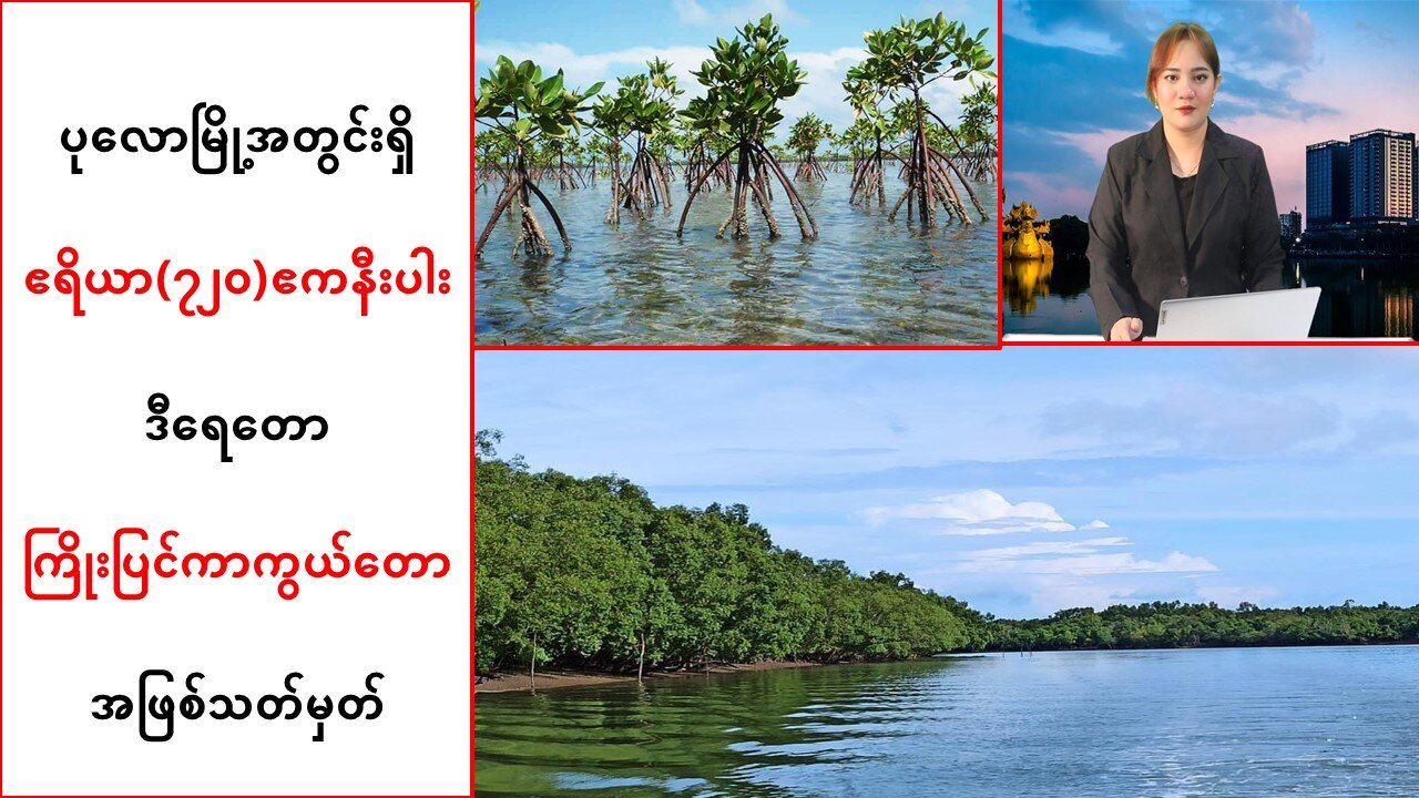 ပုလောမြို့အတွင်းရှိ ဧရိယာ(၇၂ဝ)ဧကနီးပါးကို ဒီရေတောကြိုးပြင်ကာကွယ်တော အဖြစ်သတ်မှတ်
