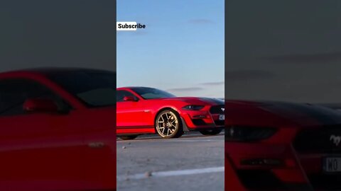 mustang ❤️❤️ #onepercent_clubb #car_soul #as1116 #cars #shorts #viral #subscribe