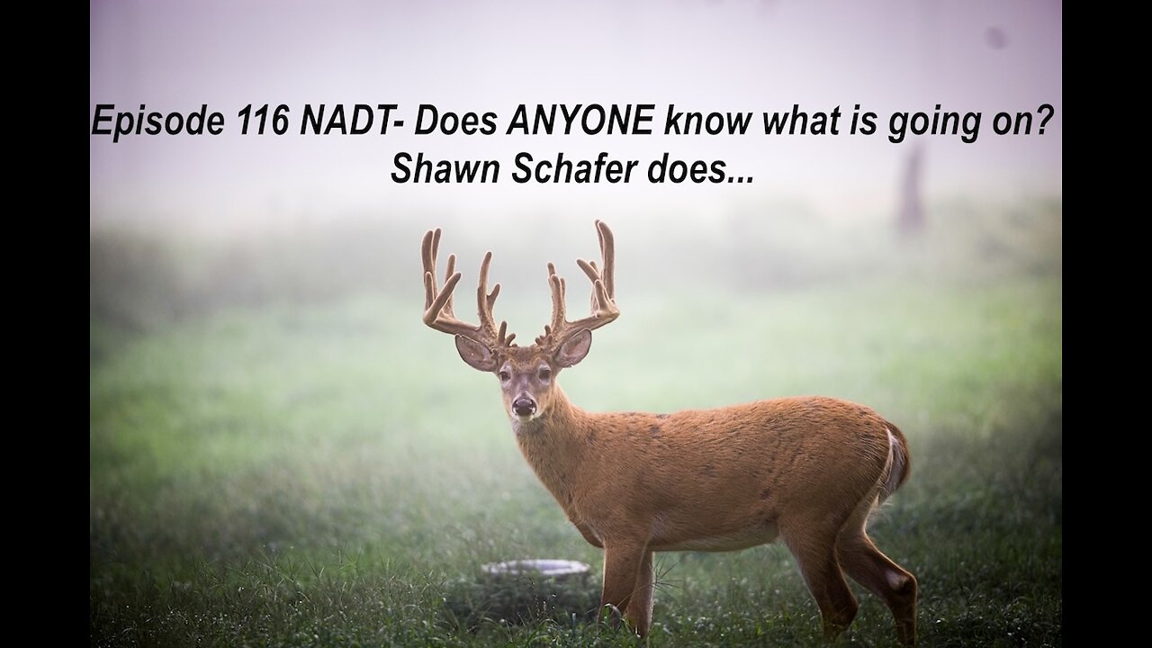 Episode 116 NADT- Does ANYONE know what is going on? Shawn Schafer does...