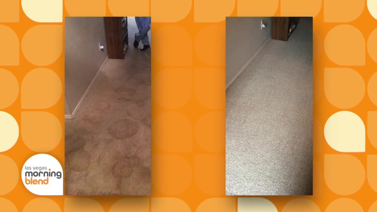 Summer Carpet Cleaning With Zerorez