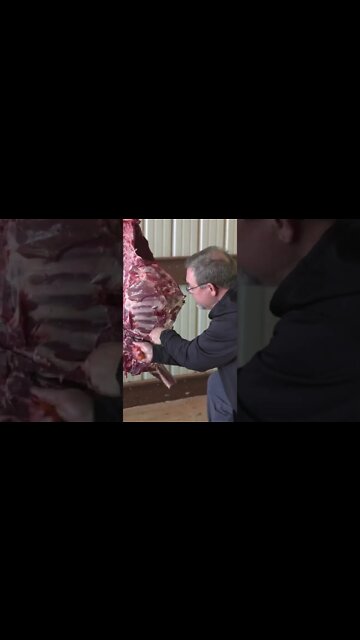 Brad Fenson doesn't waste ANY meat #shorts #deer #deerhunting #meat