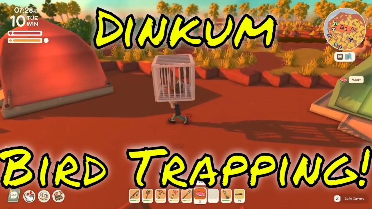 Dinkum How to Trap Magpie