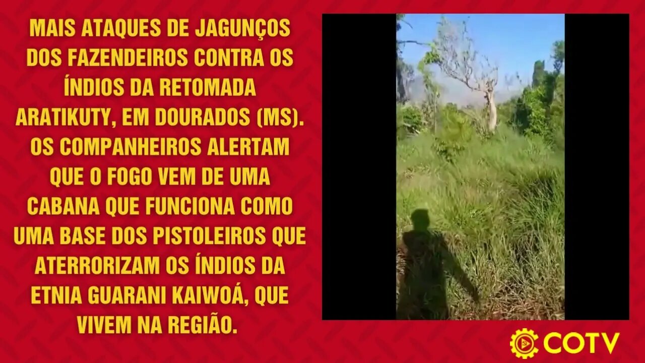 EXCLUSIVO: Índios denunciam incêndio causado por pistoleiros na aldeia Aratikuty, no MS