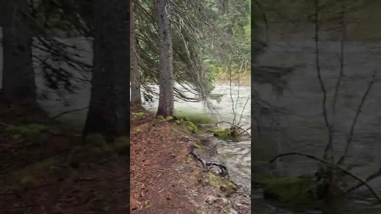 Similkameen River in Manning Park