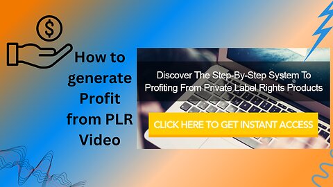 How to generate Profit from PLR Video