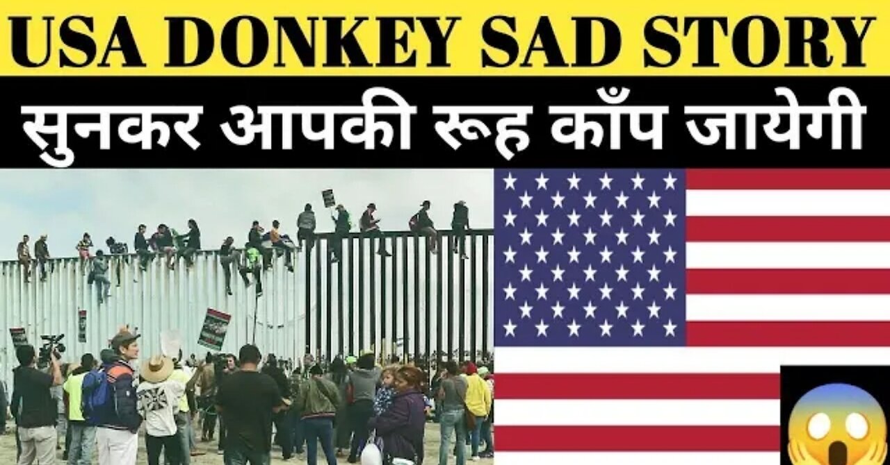 America USA DONKEY | Real Sad story of USA Donkey