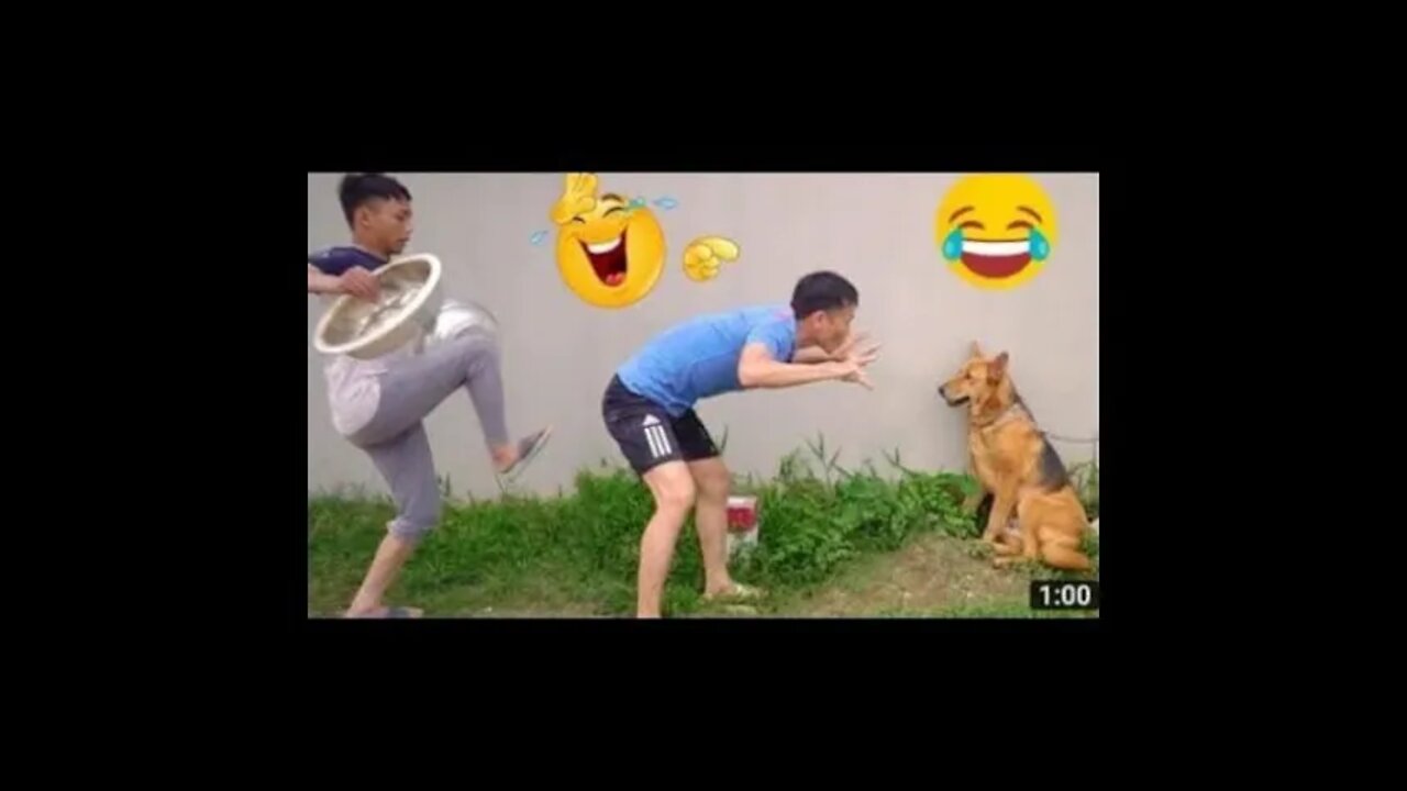 FUNNY FAIL MOMENTS - funny videos