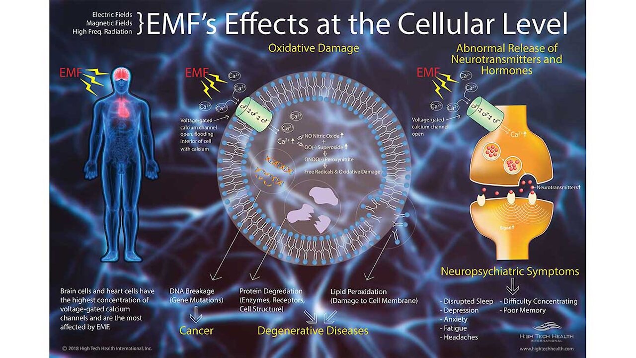 Protect Yourself from EMF Radiation