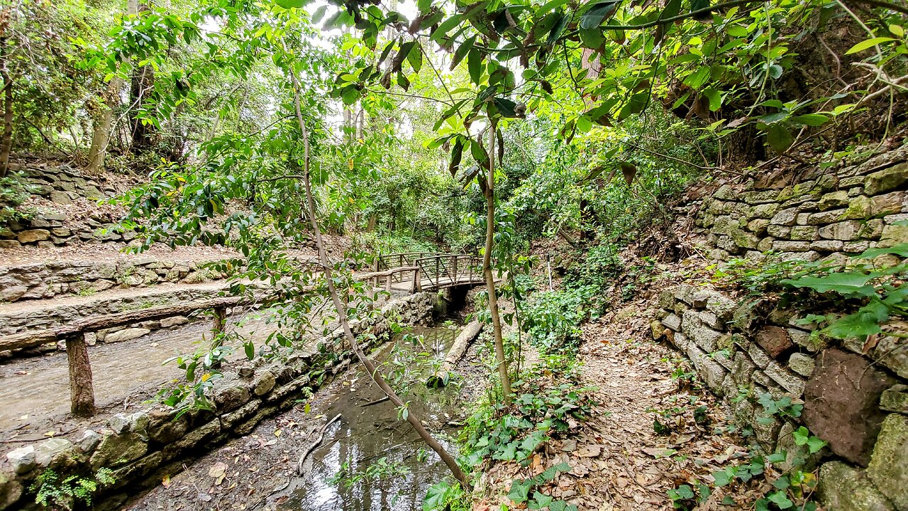 Fern Dell Nature Trail