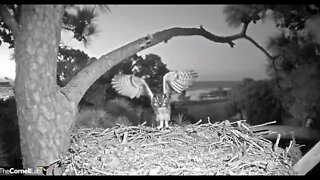 Mom's AM Break-Leave and Return 🦉 3/1/22 6:04