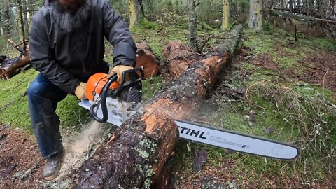 Life on a remote Alaska island after wind storm.