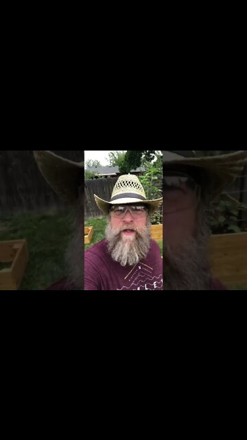 Surprising My Wife & Daughter #shorts #gardenbox #gardening #vegetables #sustainability