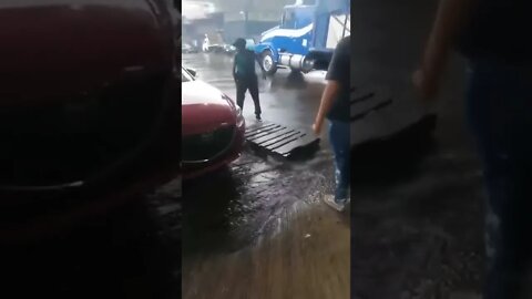 Boss didn't want to wet his shoes! 🤣🤣