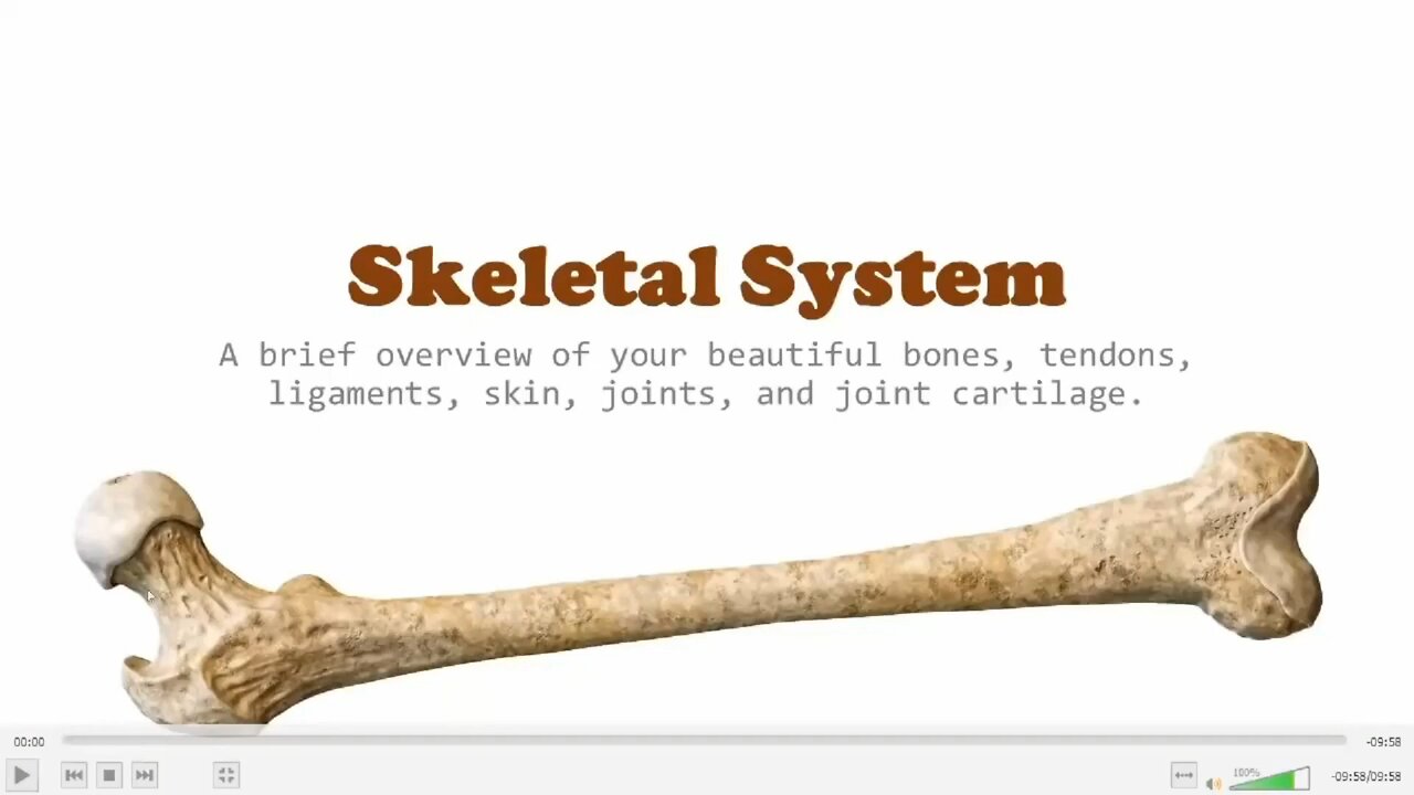 Billy Meier: The Skeletal System