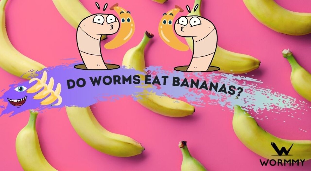 Worms VS Banana. Time-Lapse