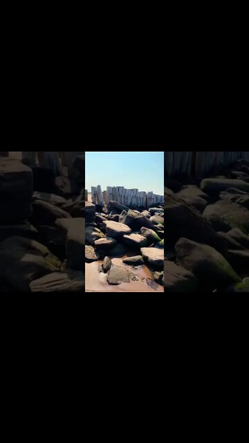 The remains of an old dock