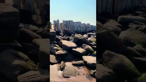 The remains of an old dock