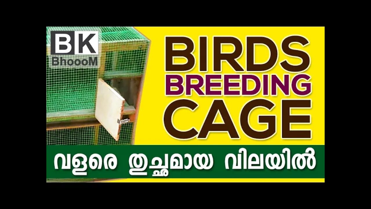 Birds Breeding Cage | വളരെ തുച്ഛമായ ചിലവിൽ വീട്ടിൽ നിർമിക്കാം | Love Birds, Finches, Java etc