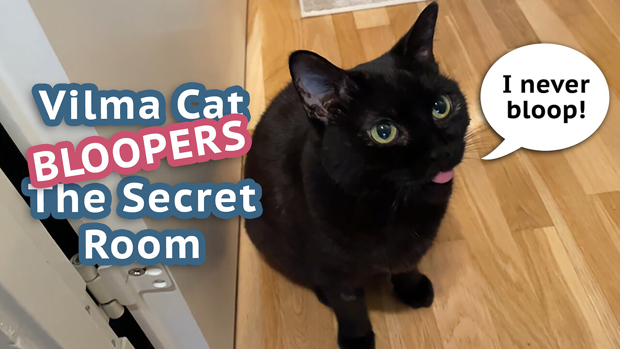 Vilma Cat and The Secret Room - Bloopers